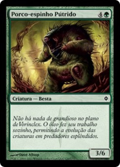 Porco-espinho Pútrido