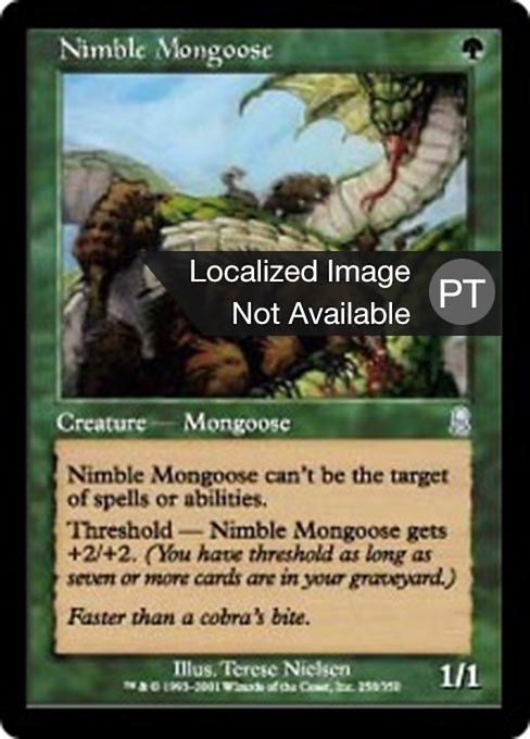 Mangusto Ágil