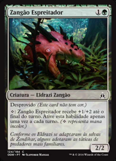 Zangão Espreitador