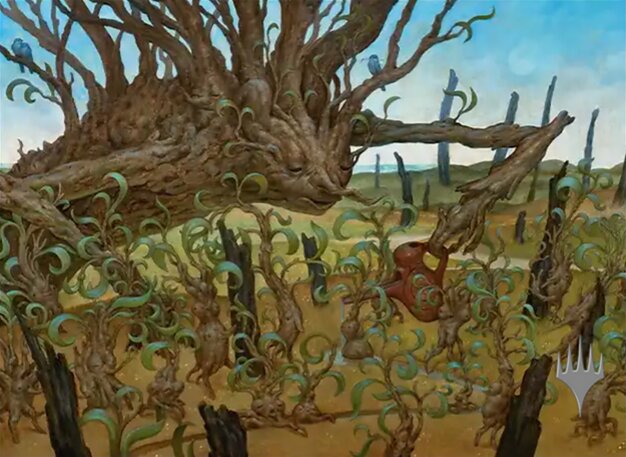 Sapling Nursery