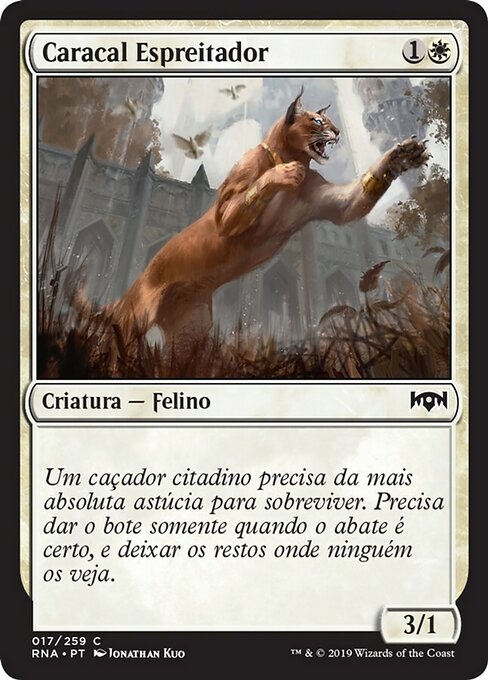 Caracal Espreitador