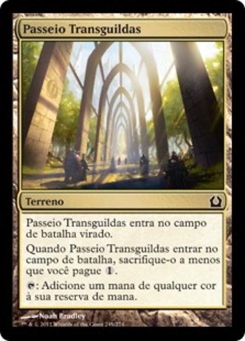 Passeio Transguildas