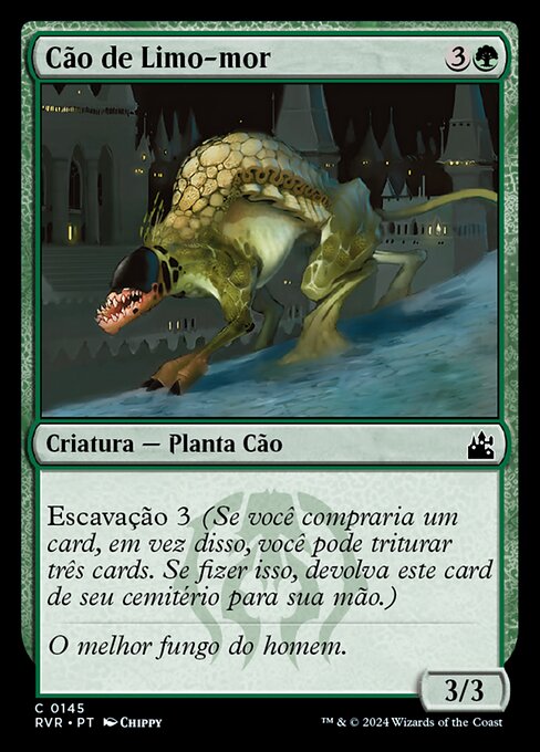 Cão de Limo-mor