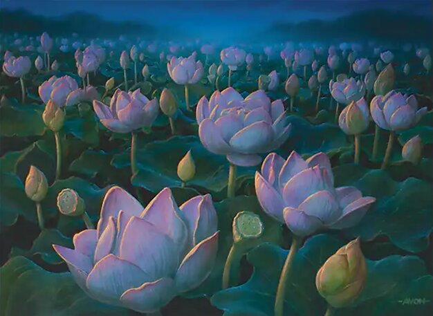 Lotus Field