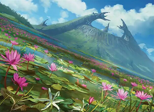 Sunlit Marsh