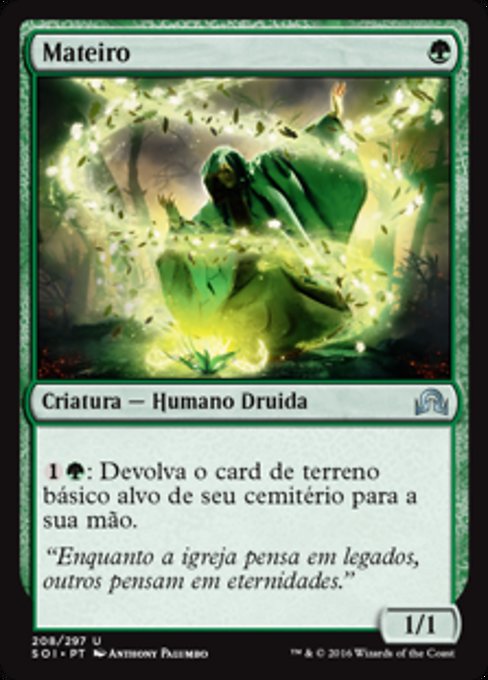 Mateiro