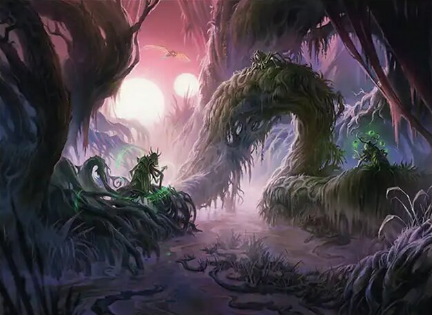 Swamp