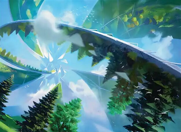 Forest