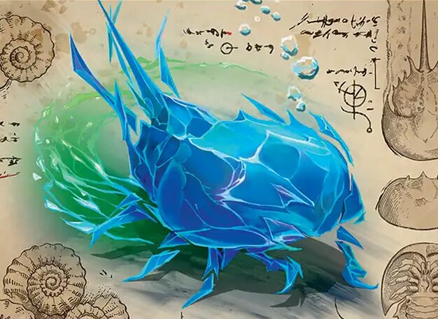 Geometer's Arthropod