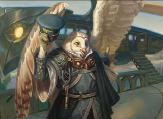 Skycoach Conductor // All Aboard