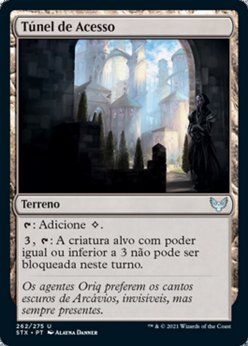 Túnel de Acesso