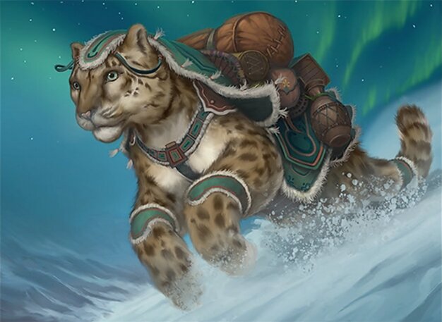 Rescue Leopard