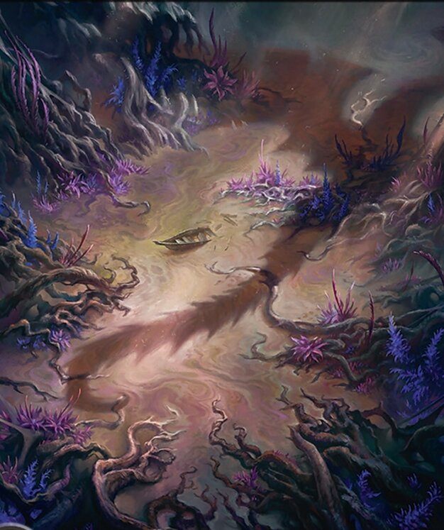 Swamp