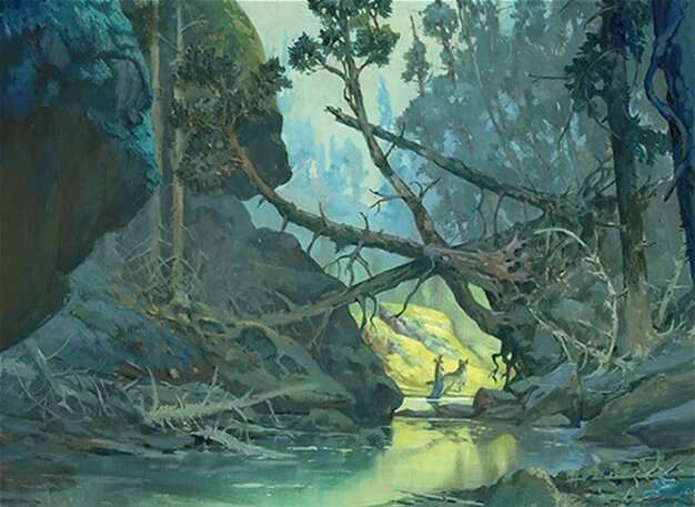 Forest