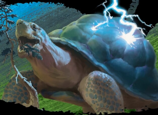 Ambling Stormshell