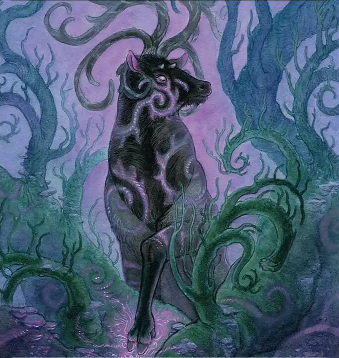 Elk