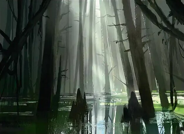Foggy Bottom Swamp
