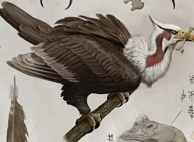 Raven Eagle
