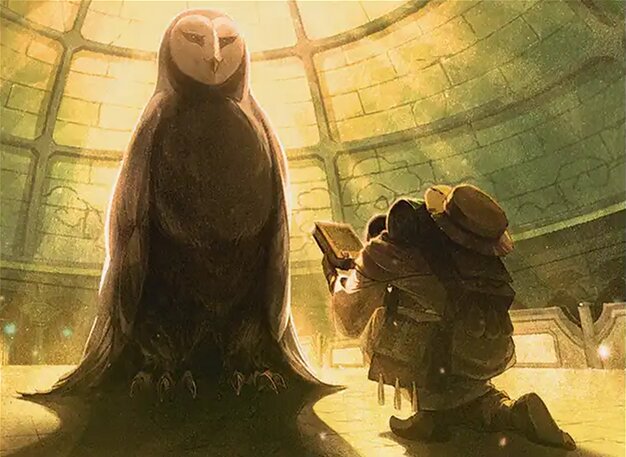 Accumulate Wisdom