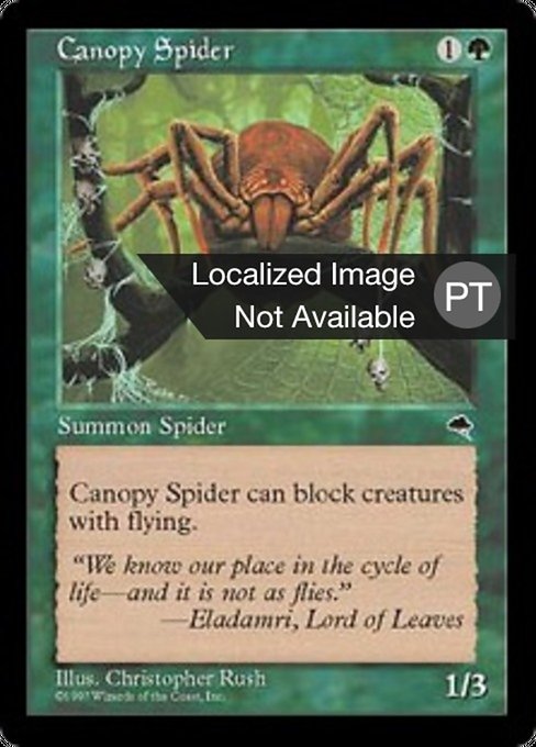 Aranha Baldaquina