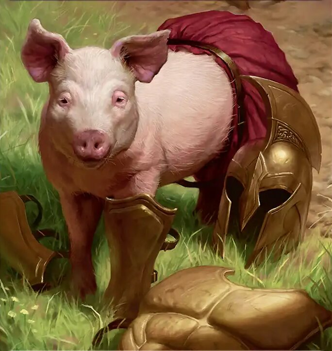 Boar
