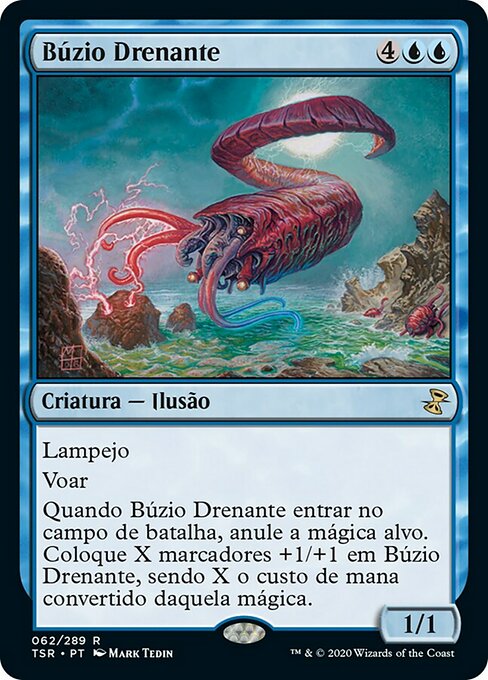 Búzio Drenante