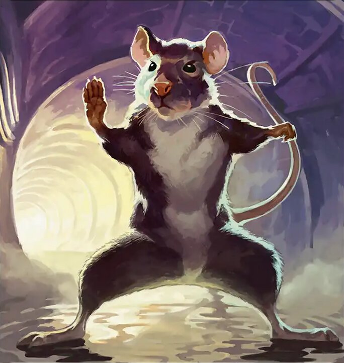 Rat