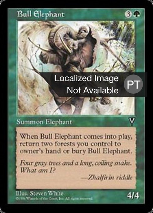 Elefante Macho