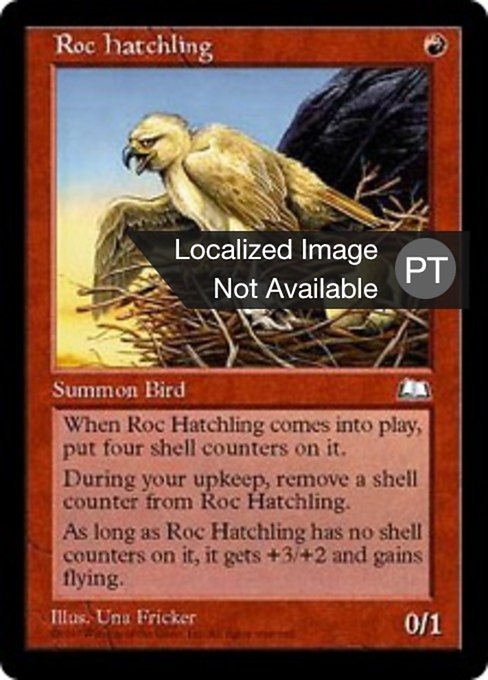 Filhote de Roc