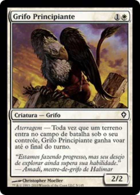 Grifo Principiante