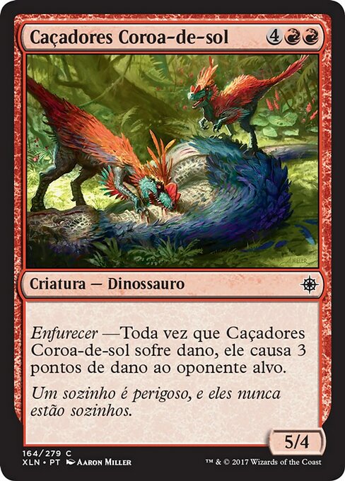 Caçadores Coroa-de-sol