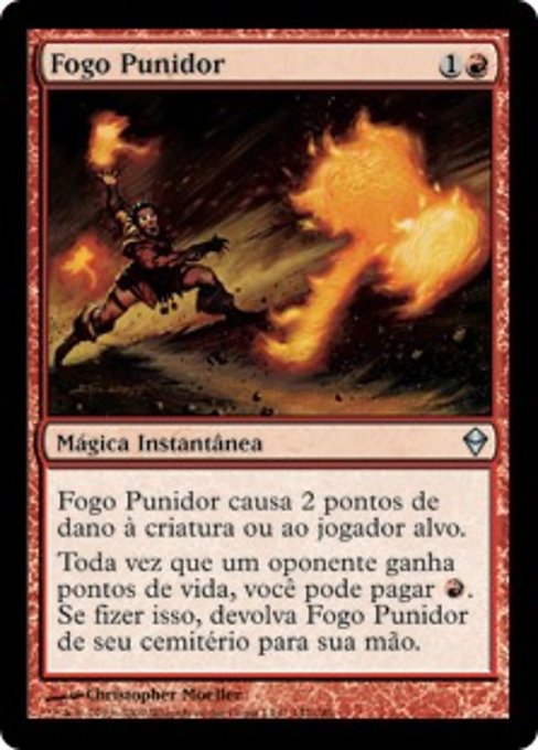 Fogo Punidor