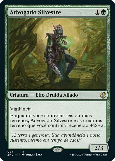 Advogado Silvestre
