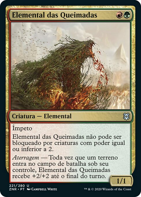 Elemental das Queimadas