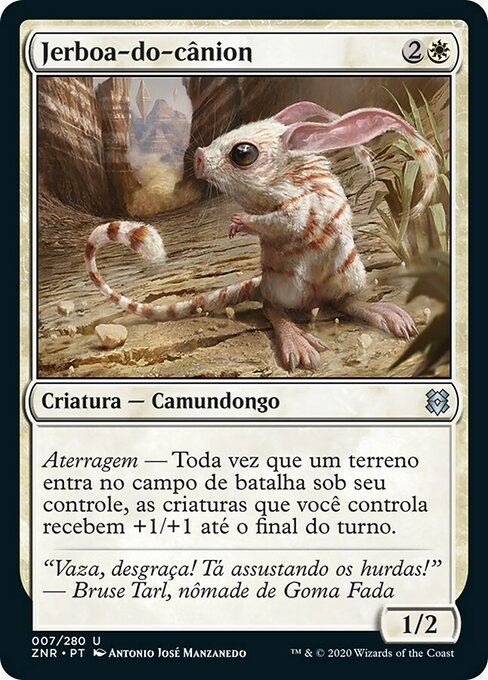 Jerboa-do-cânion