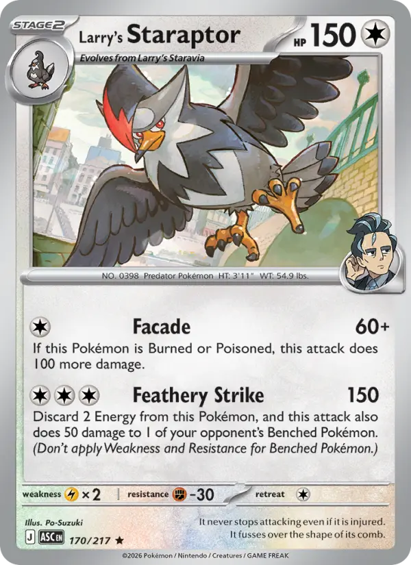 Staraptor do Lauro